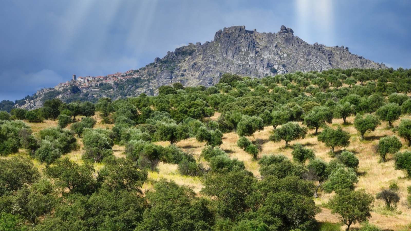 A landscape in portugal.