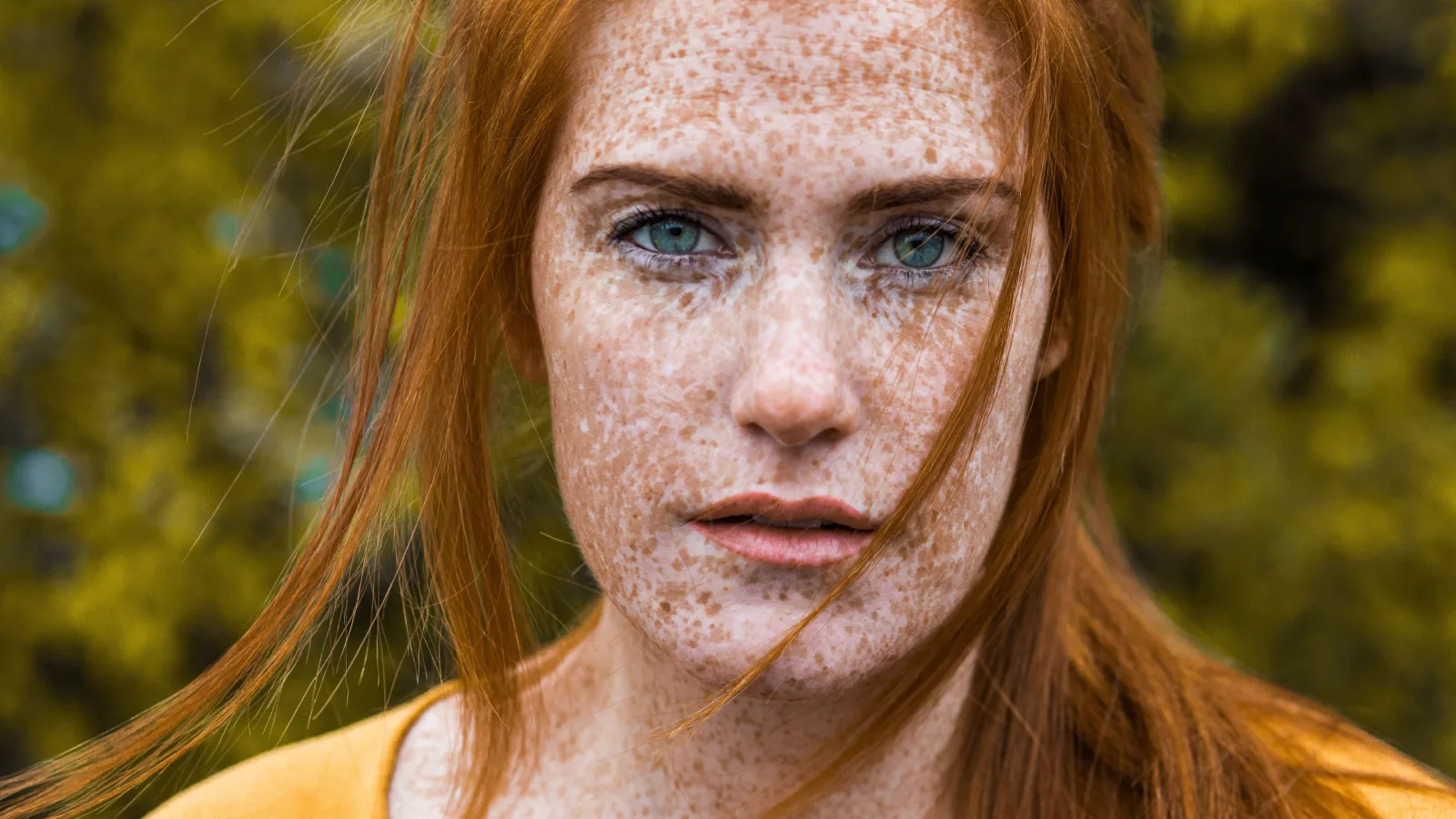 citizenship by ancestry - banner