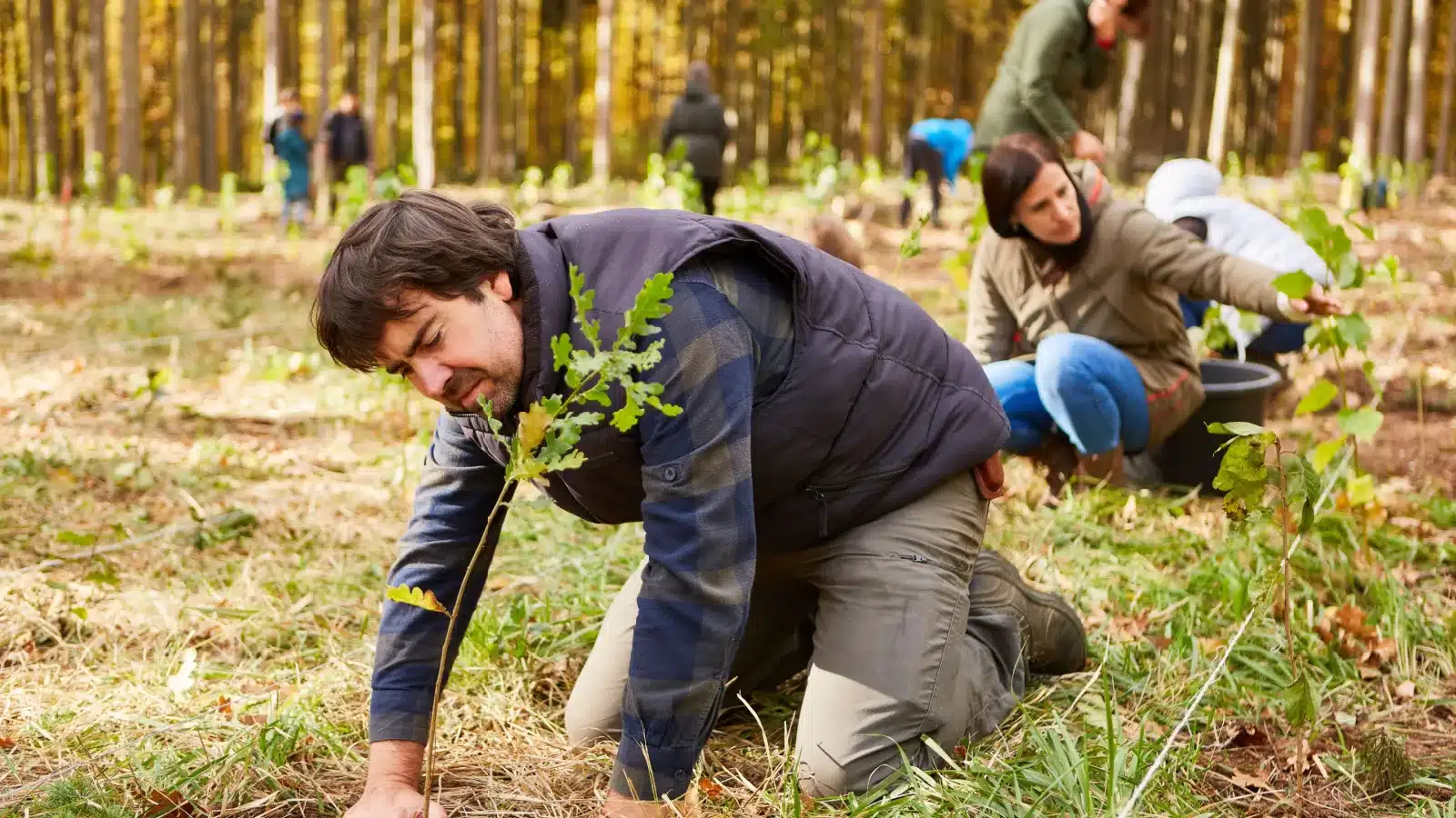 Panama residency visas