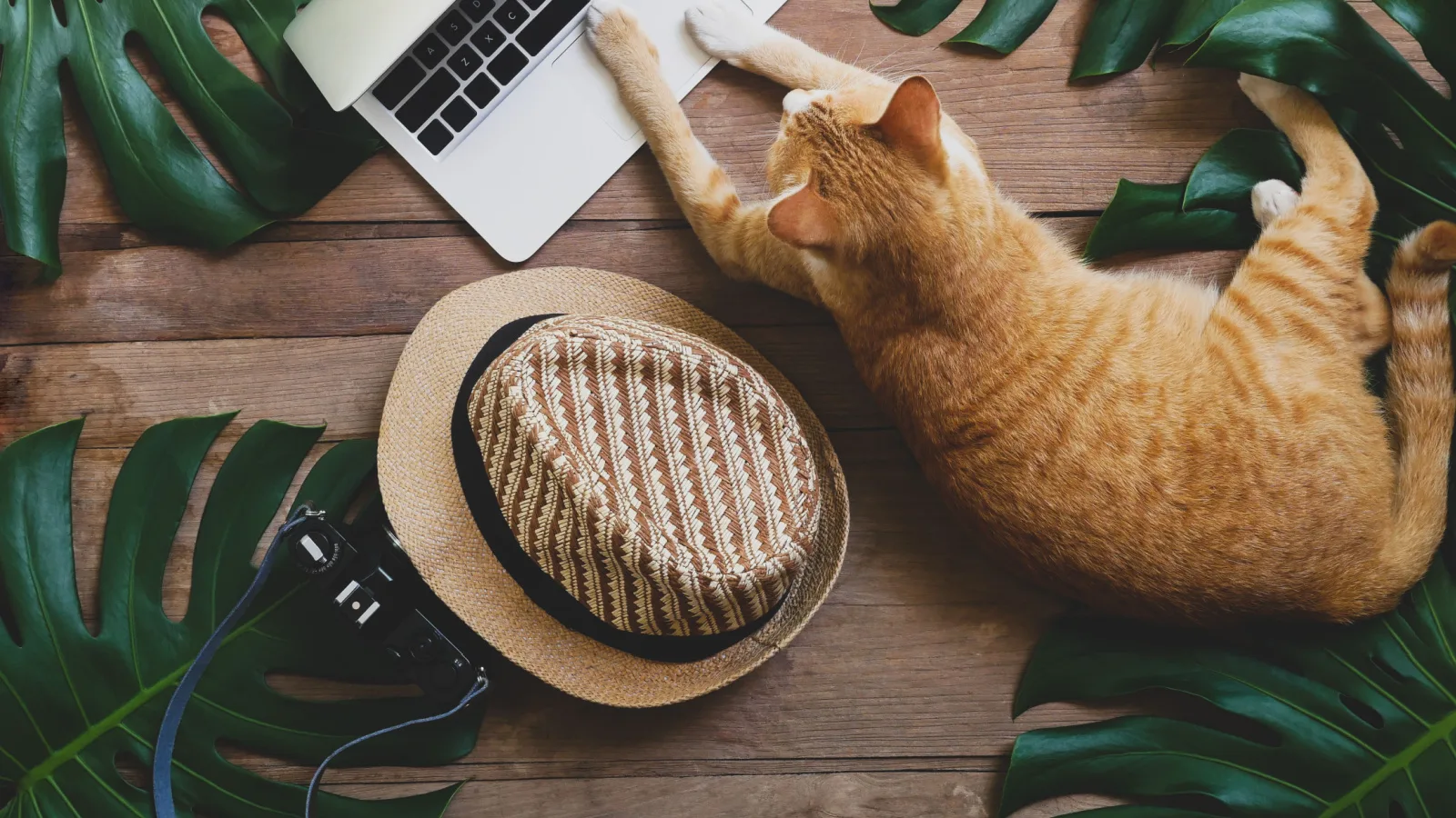 panama residency visas