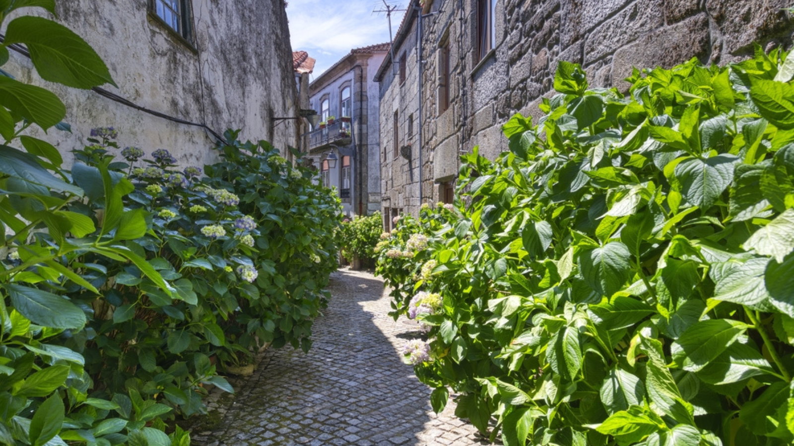 A landscape in Portugal.