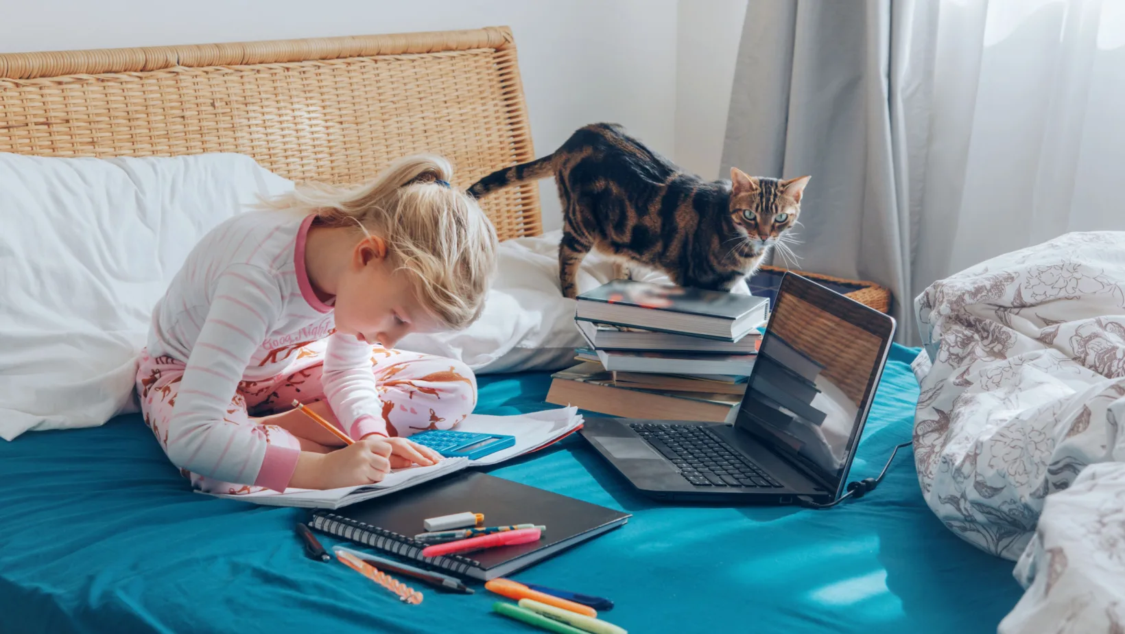 bina online education platform - banner