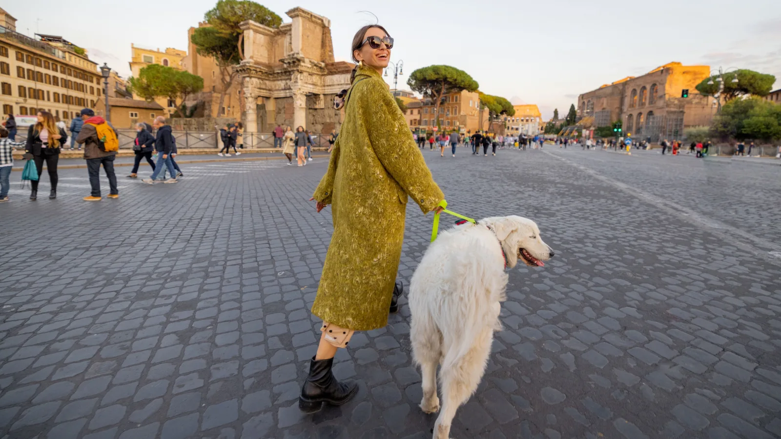 moving pets overseas - banner